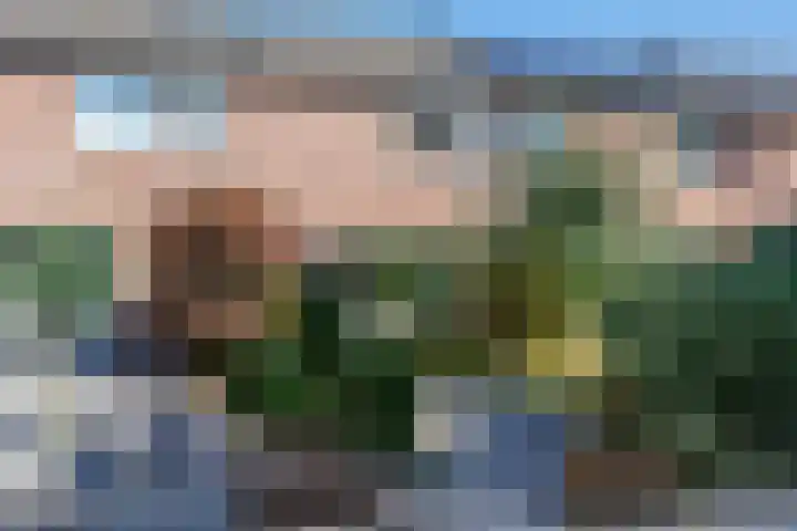 Malvert 5322 Nijmegen thumbnail 60