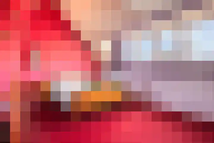 Malvert 5322 Nijmegen thumbnail 7