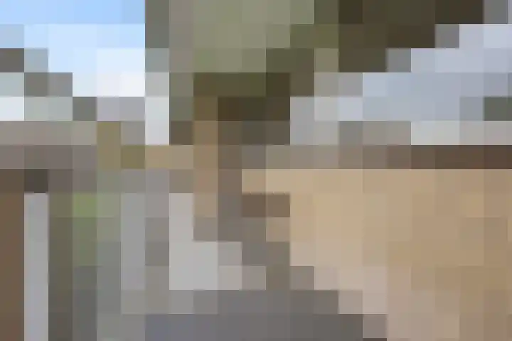 Malvert 6145 Nijmegen thumbnail 27
