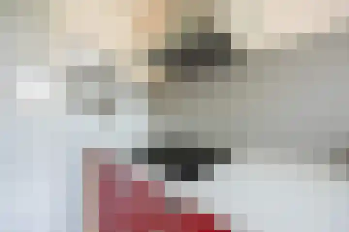 Malvert 6145 Nijmegen thumbnail 7