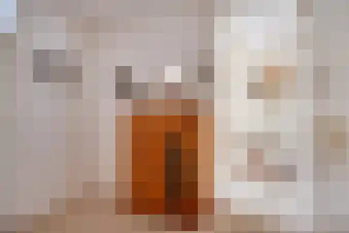 Malvert 6249 Nijmegen thumbnail 13