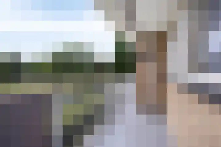 Malvert 6249 Nijmegen thumbnail 16
