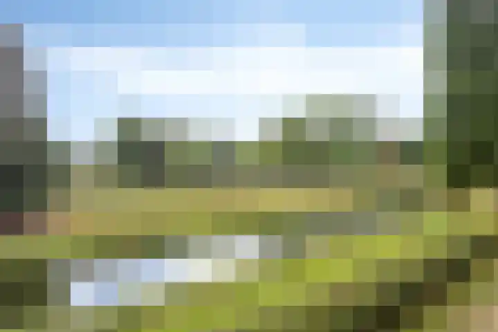 Malvert 6249 Nijmegen thumbnail 17