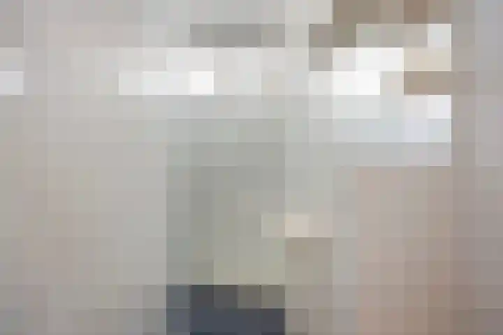 Malvert 6249 Nijmegen thumbnail 18