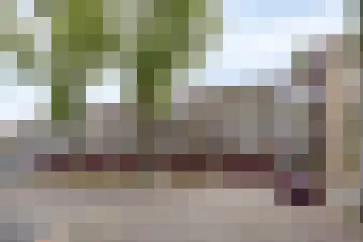 Malvert 6249 Nijmegen thumbnail 27