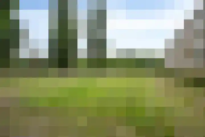 Malvert 6249 Nijmegen thumbnail 28