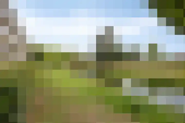 Malvert 6249 Nijmegen thumbnail 29