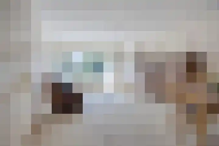 Malvert 6249 Nijmegen thumbnail 4