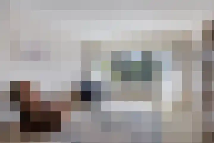 Malvert 6249 Nijmegen thumbnail 5