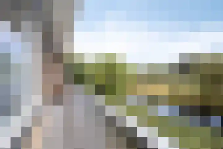 Malvert 6249 Nijmegen thumbnail 6
