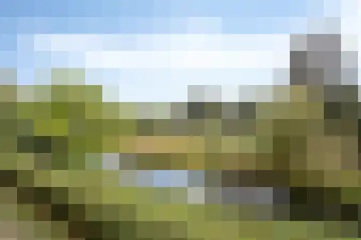 Malvert 6249 Nijmegen thumbnail 7