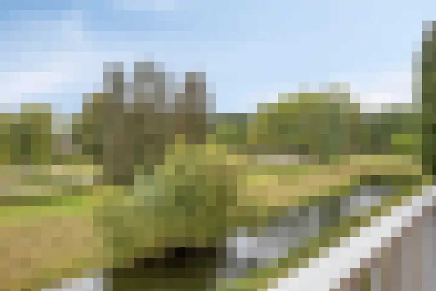 Malvert 6269 Nijmegen thumbnail 13