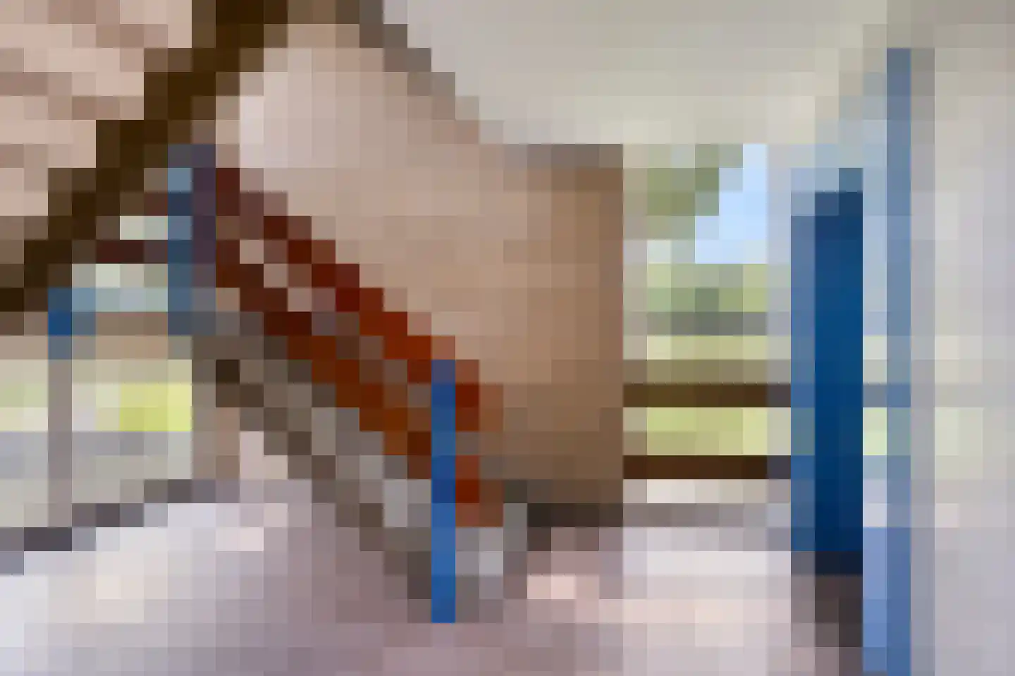 Malvert 6269 Nijmegen thumbnail 7