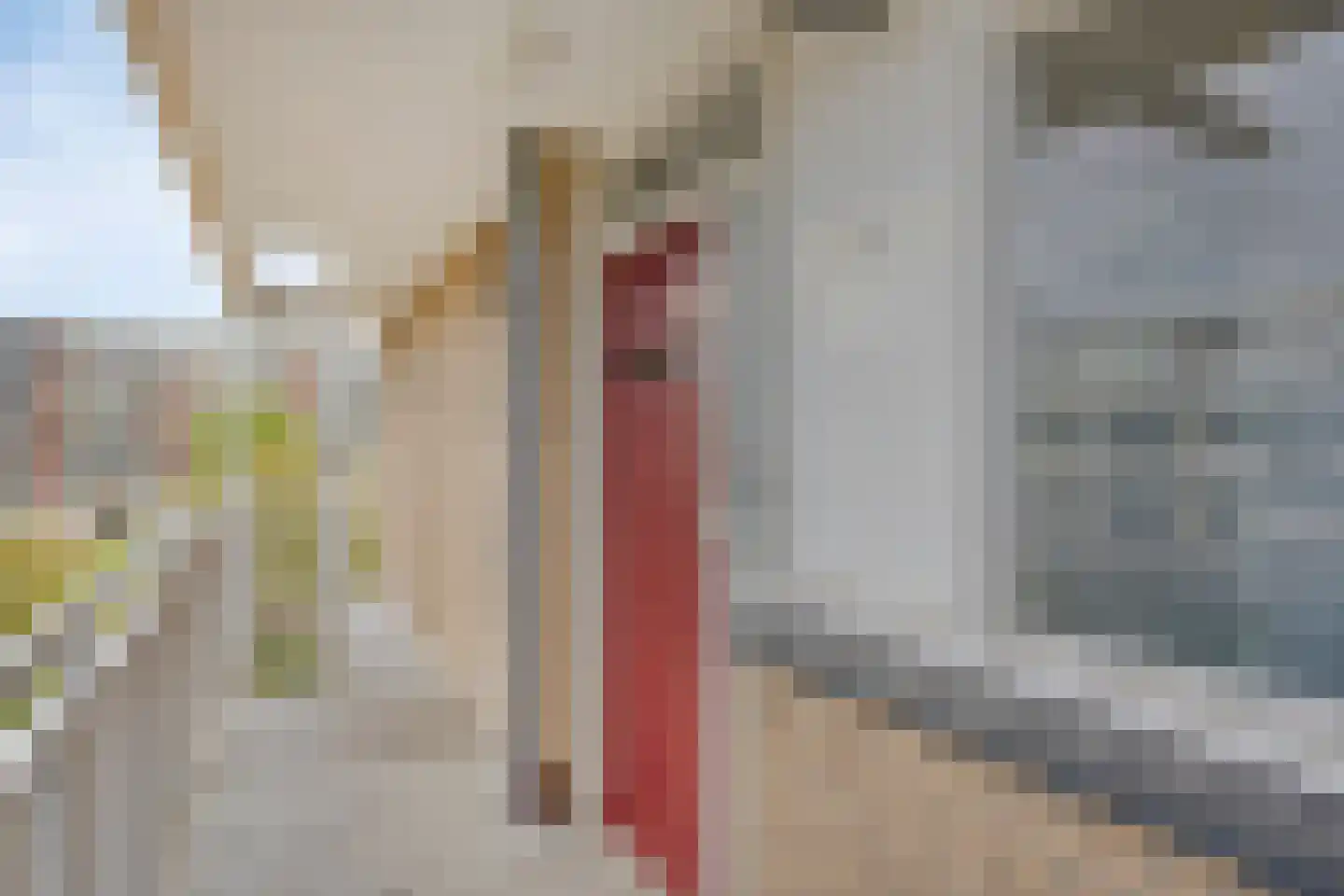 Malvert 6269 Nijmegen thumbnail 8