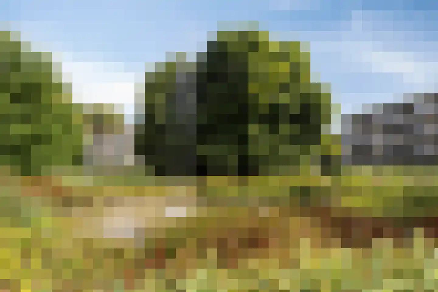 Malvert 6359 Nijmegen thumbnail 32