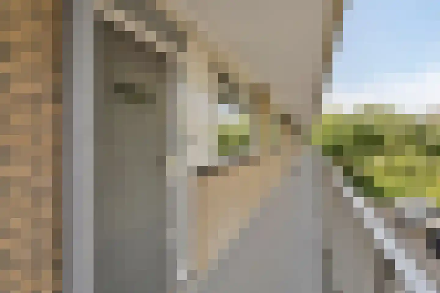 Malvert 6359 Nijmegen thumbnail 7