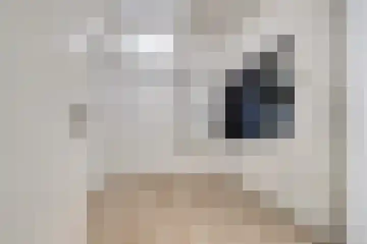 Malvert 6459 Nijmegen thumbnail 18