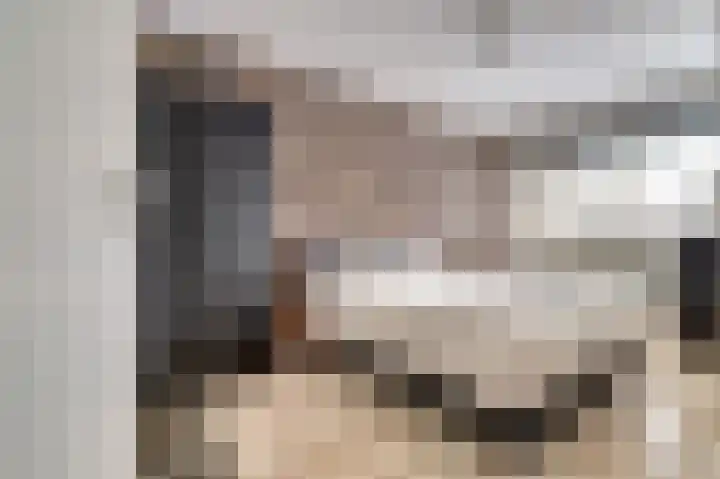 Malvert 6459 Nijmegen thumbnail 22