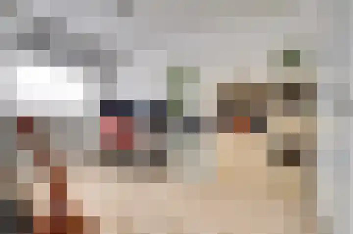 Malvert 6459 Nijmegen thumbnail 24
