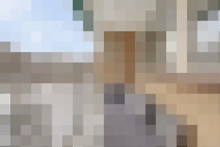 Malvert 6459 Nijmegen thumbnail 27