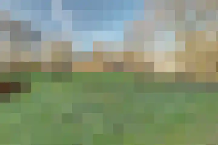 Malvert 6459 Nijmegen thumbnail 28