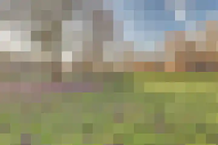 Malvert 6459 Nijmegen thumbnail 29