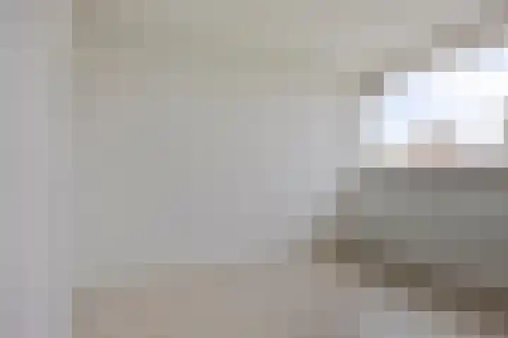 Malvert 6526 Nijmegen thumbnail 12