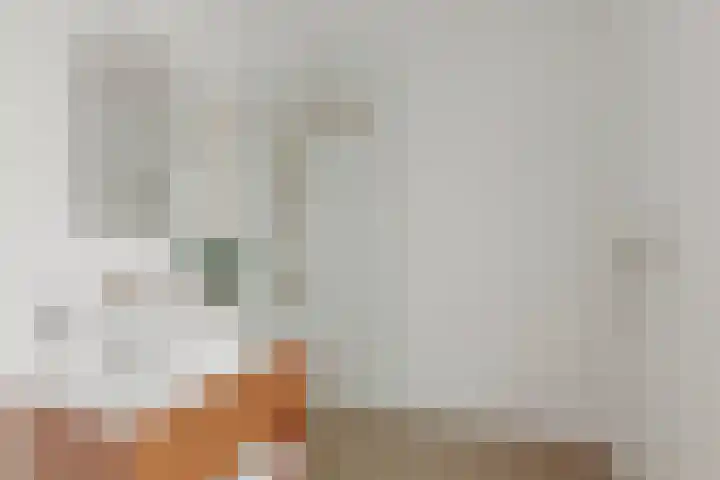 Malvert 6526 Nijmegen thumbnail 18