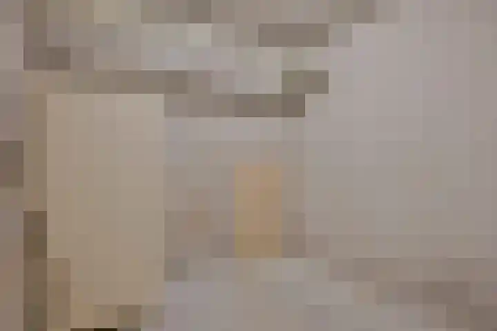 Malvert 6526 Nijmegen thumbnail 21