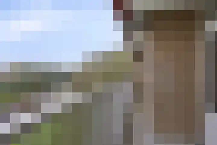 Malvert 6526 Nijmegen thumbnail 8