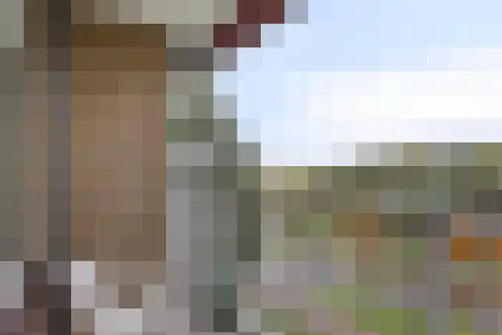 Malvert 6526 Nijmegen thumbnail 9