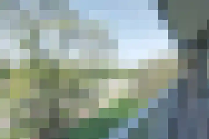 Malvert 6528 Nijmegen thumbnail 10