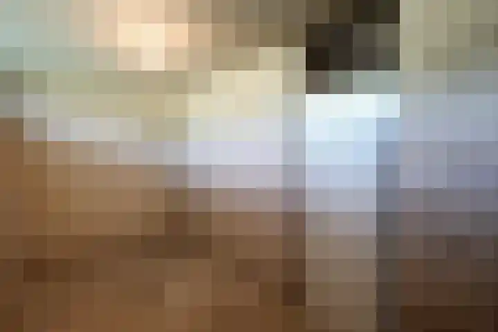 Malvert 6528 Nijmegen thumbnail 23