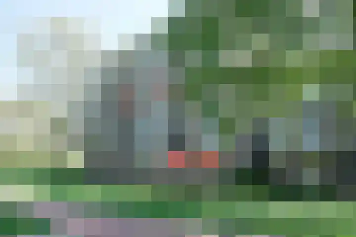 Malvert 6528 Nijmegen thumbnail 6
