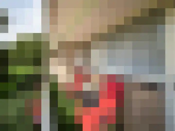 Malvert 6541 Nijmegen thumbnail 17