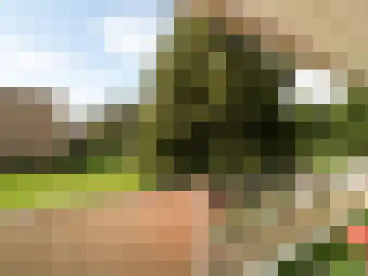 Malvert 6541 Nijmegen thumbnail 18