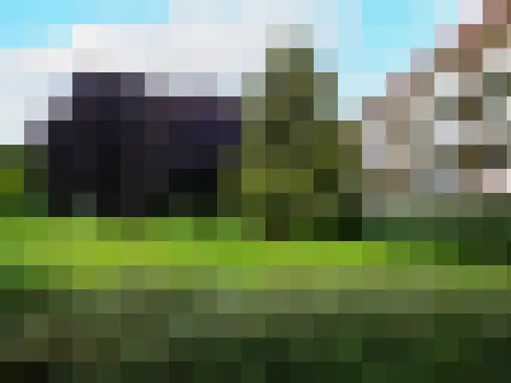 Malvert 6541 Nijmegen thumbnail 21