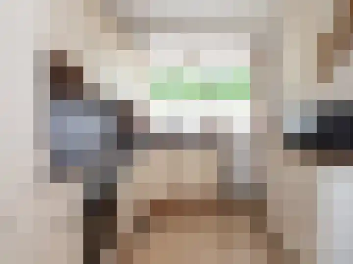 Malvert 6541 Nijmegen thumbnail 7