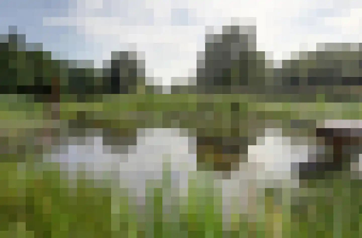 Malvert 6544 Nijmegen thumbnail 32