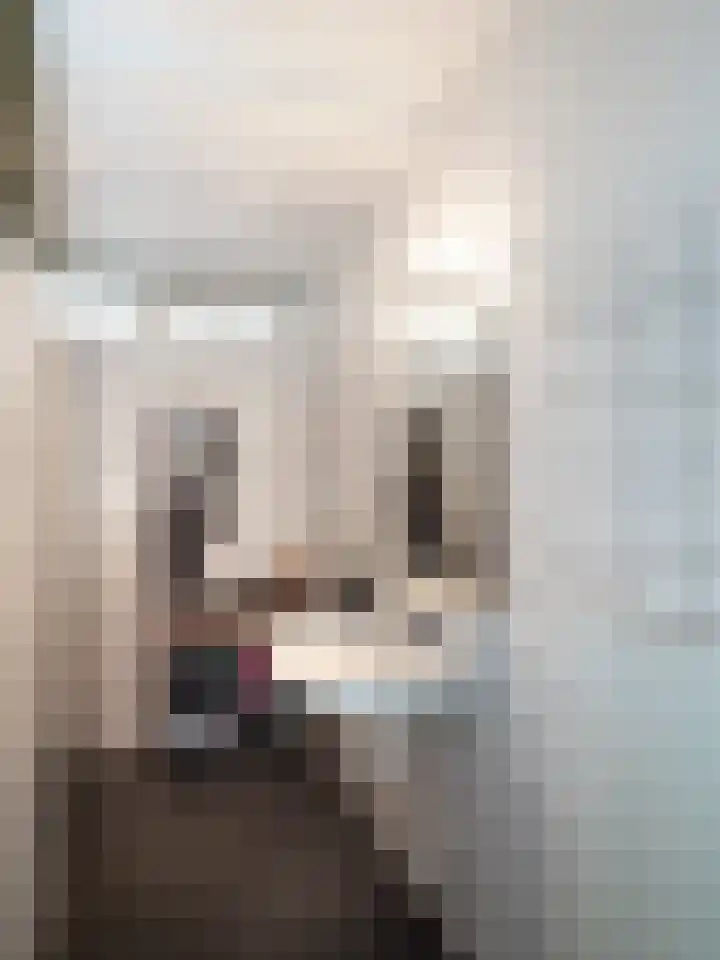 Malvert 6555 Nijmegen thumbnail 13