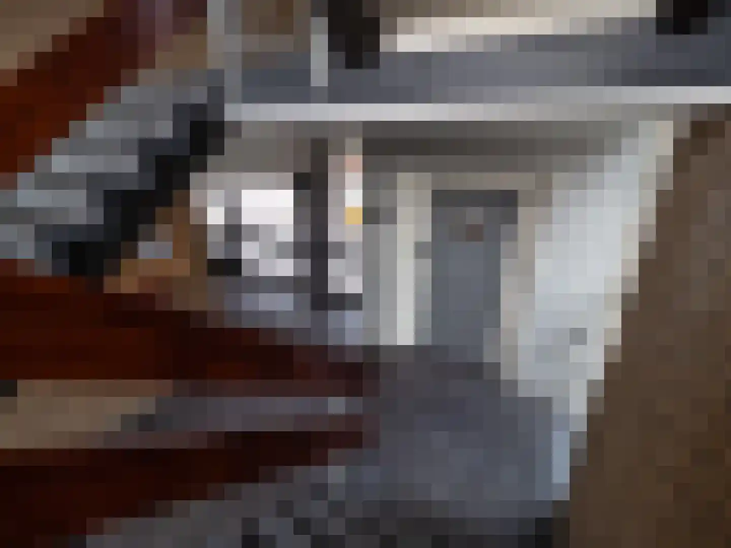 Malvert 6555 Nijmegen thumbnail 20