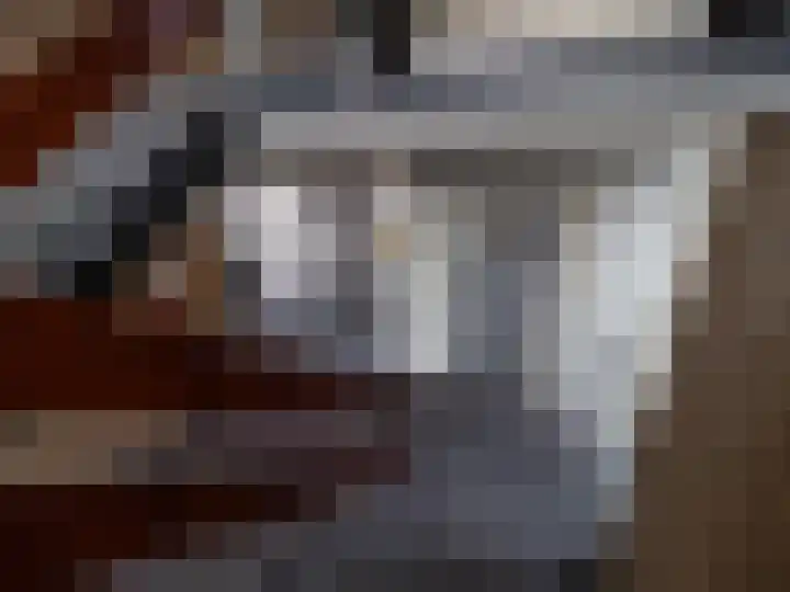 Malvert 6555 Nijmegen thumbnail 20