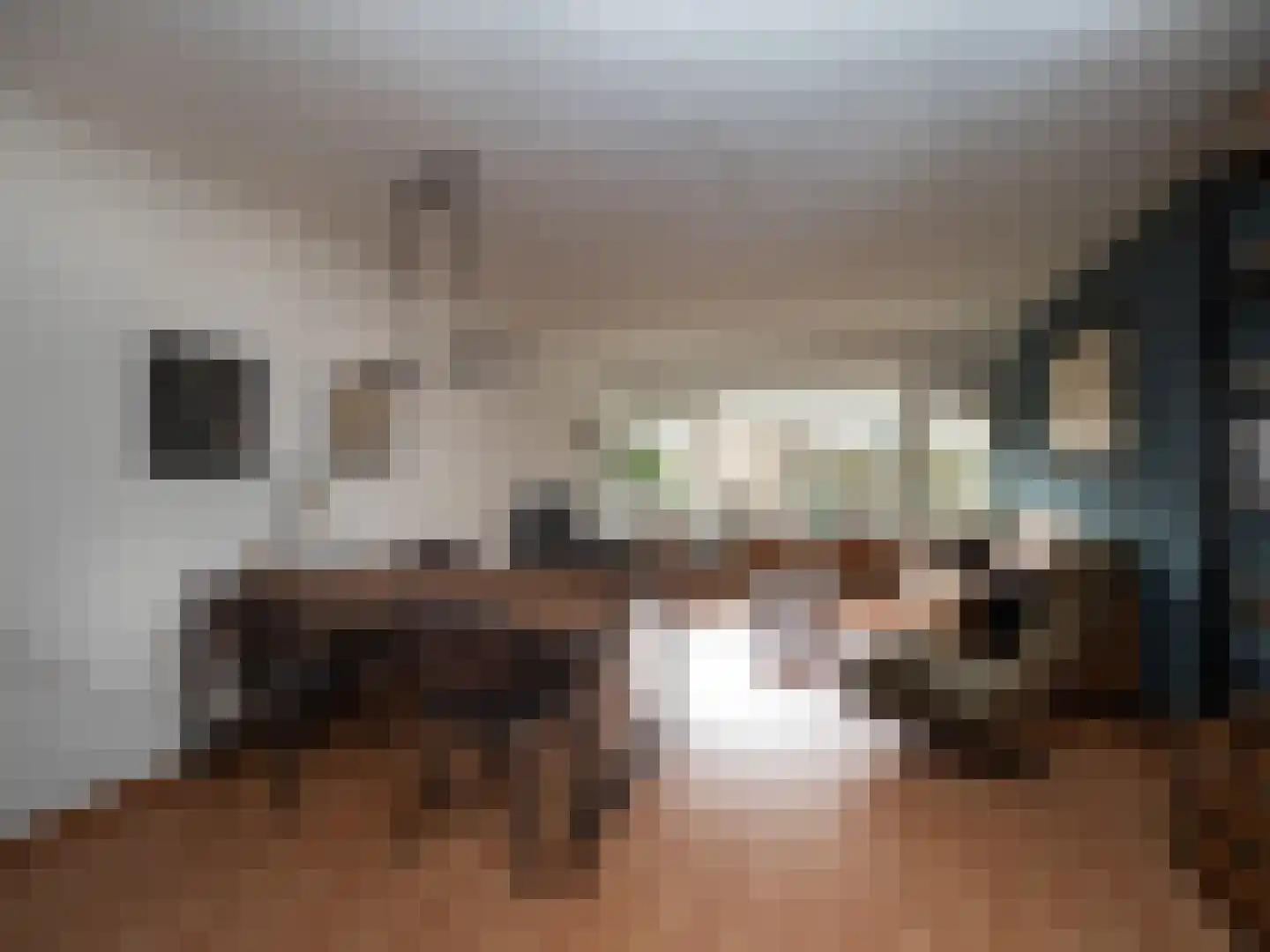 Malvert 6555 Nijmegen thumbnail 6
