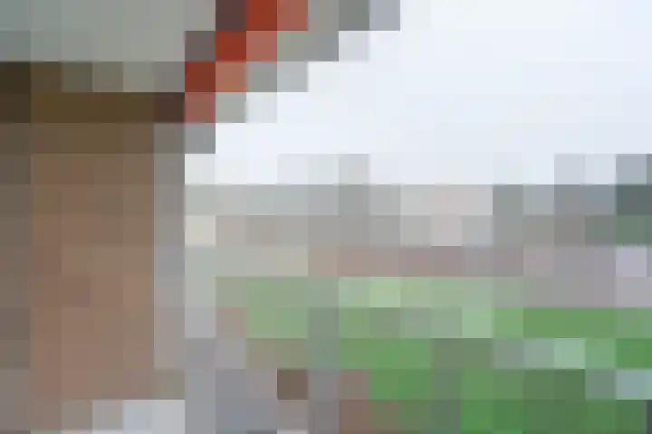Malvert 6588 Nijmegen thumbnail 12