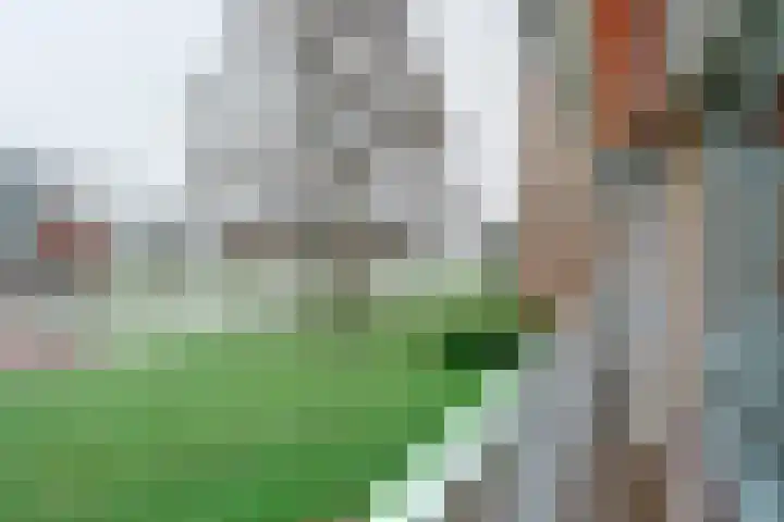 Malvert 6588 Nijmegen thumbnail 13