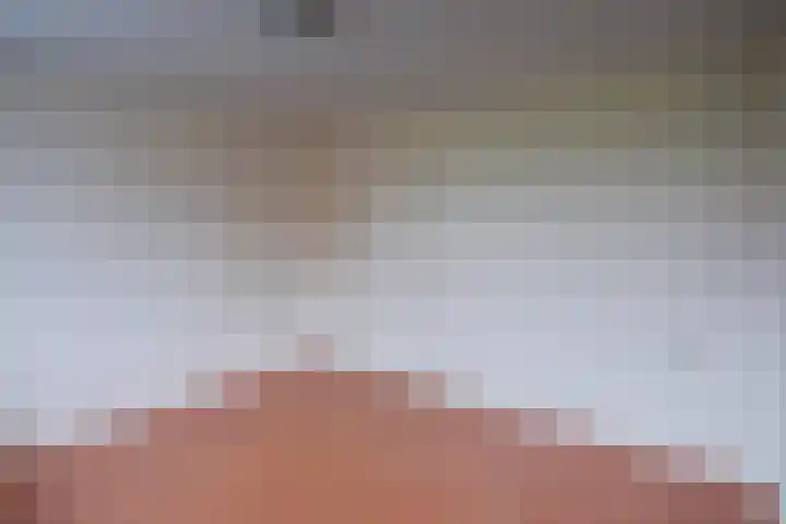 Malvert 6588 Nijmegen thumbnail 17
