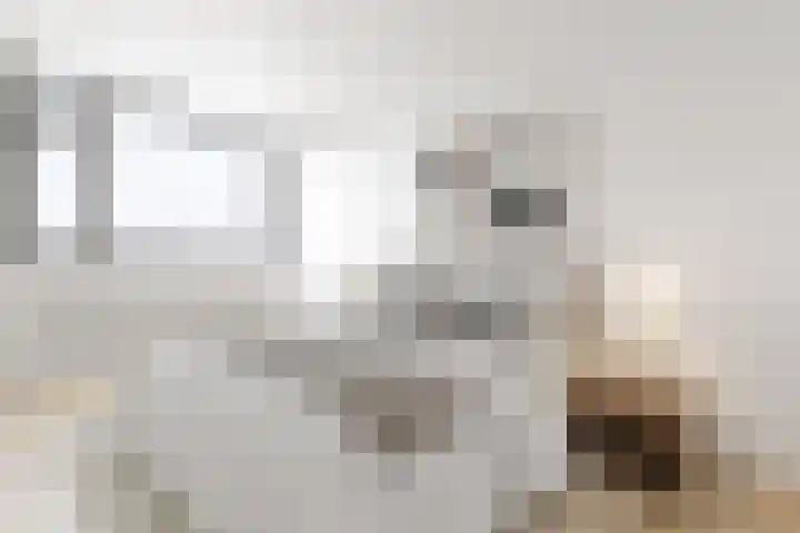 Malvert 6588 Nijmegen thumbnail 20