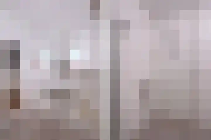 Malvert 6588 Nijmegen thumbnail 22