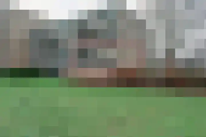 Malvert 6588 Nijmegen thumbnail 6