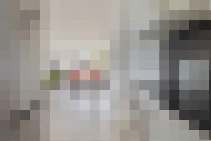 Malvert 6673 Nijmegen thumbnail 23